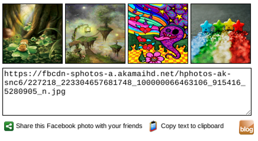 Facebook Photo Sharing Image 1