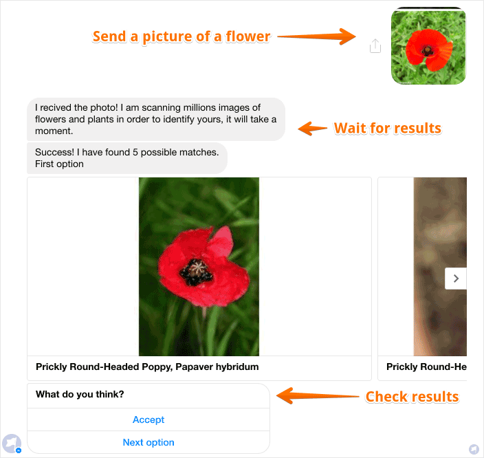 Flowerzbot-description-1